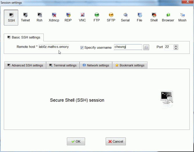 Remote Access Windows 3