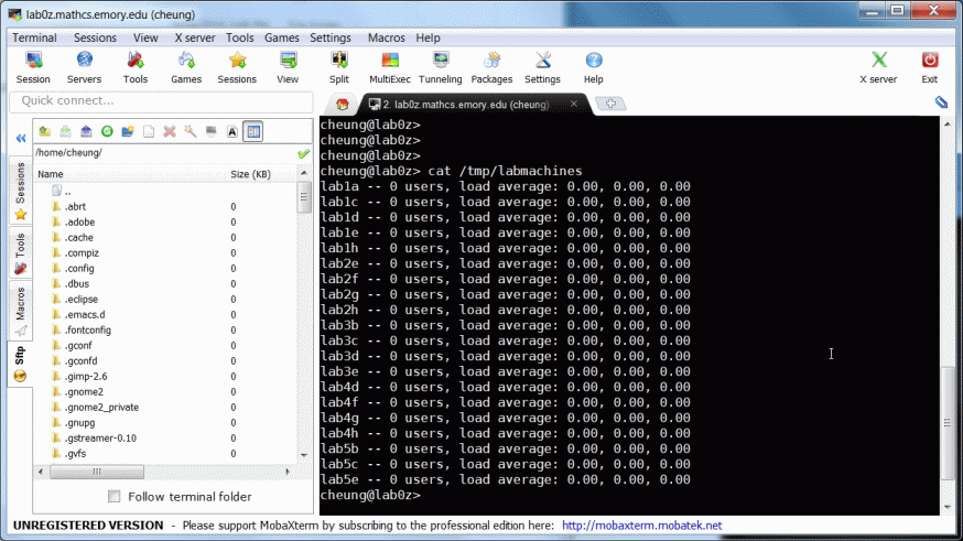 Remote Access Windows 6