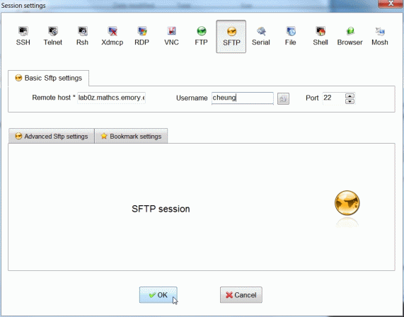 Remote Access Windows SFPT 3